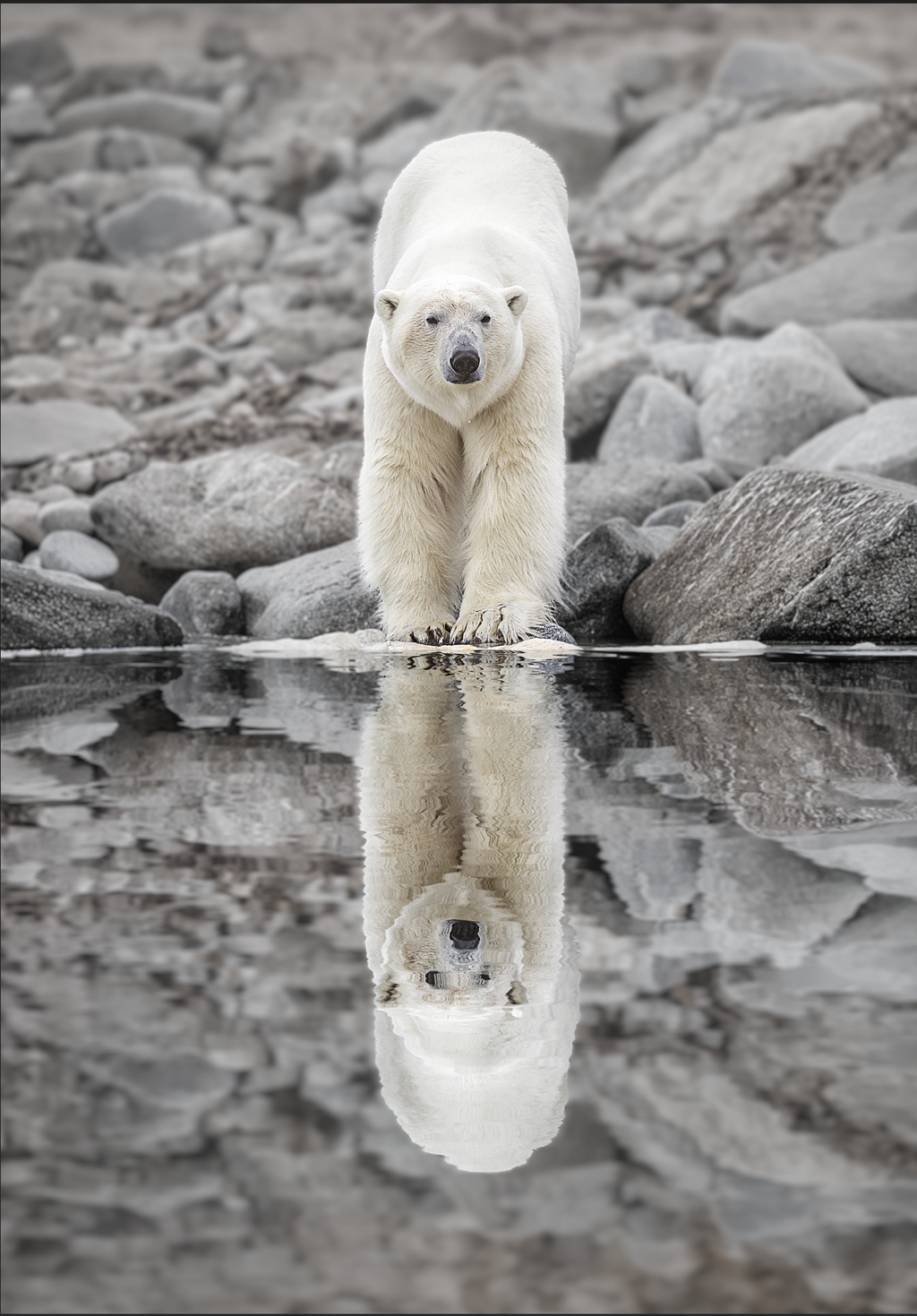 Arctic Mirror