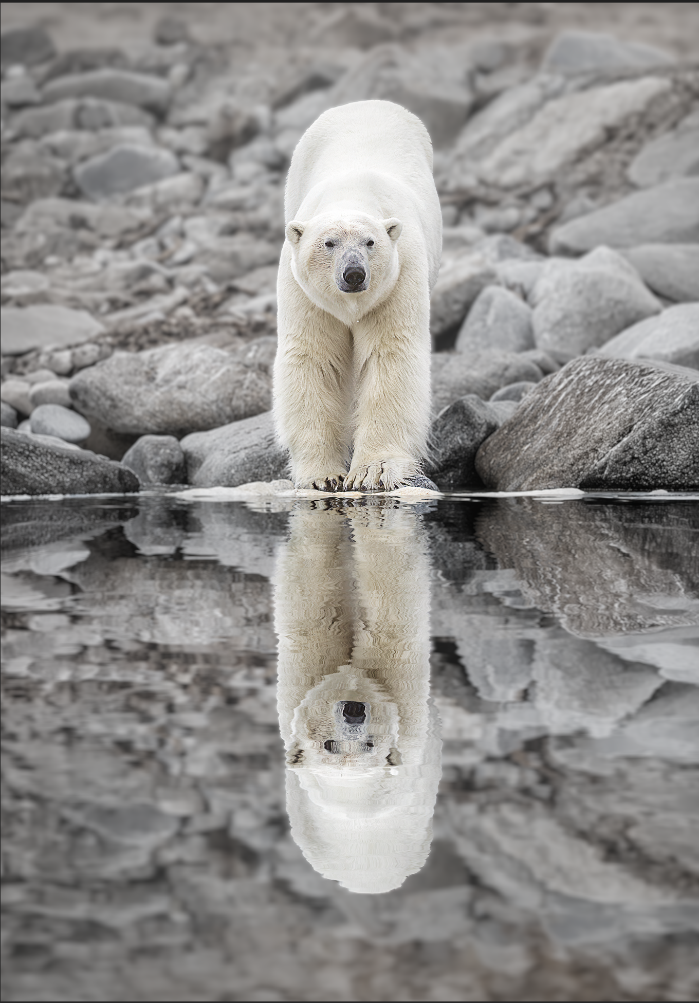 Arctic Mirror